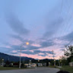 Meet your Posher, Audrey